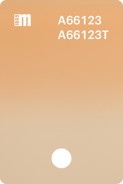 A66123 | Mazzucchelli 1849