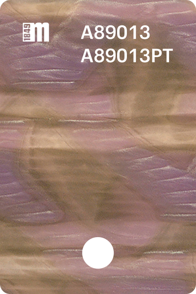 A89013