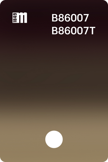 B86007