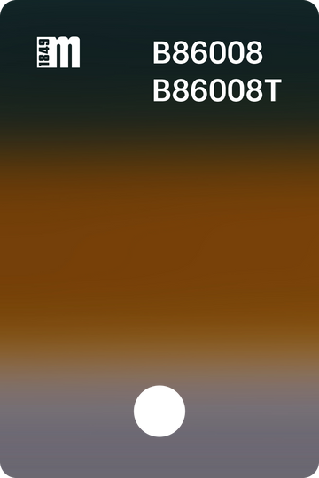 B86008