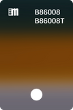 B86007