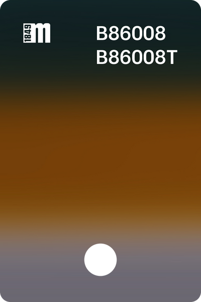 B86008