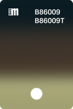 B86007
