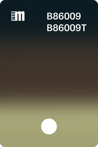 B86009