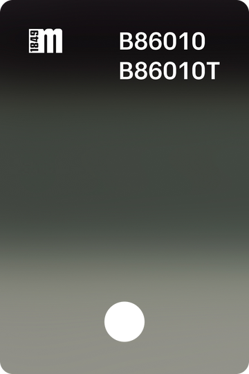B86010
