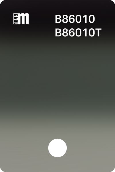 B86010