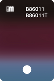 B86007