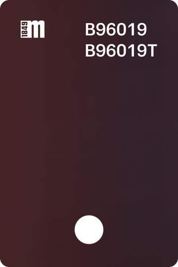 B96019