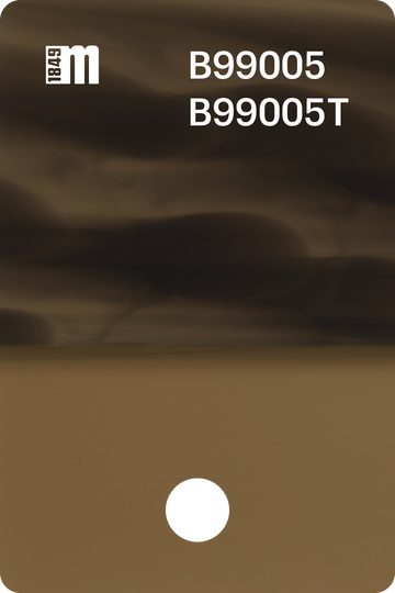 B99005