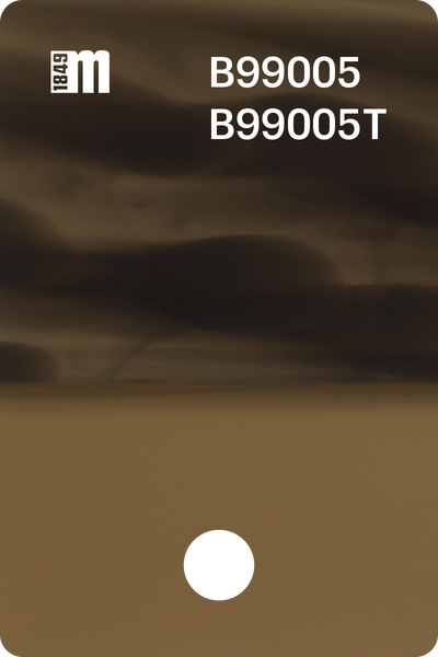 B99005