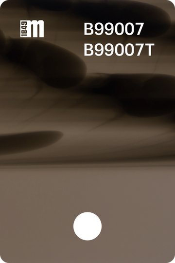 B99007