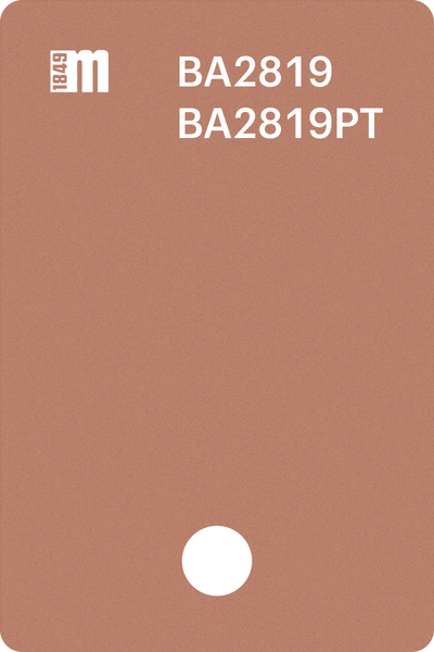BA2819 | Mazzucchelli 1849