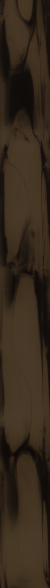 C11027