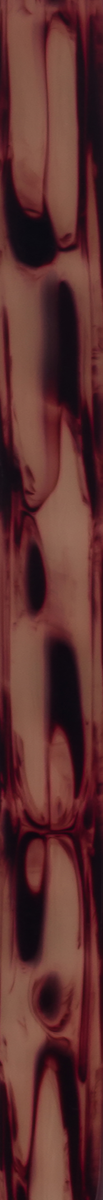 C11028
