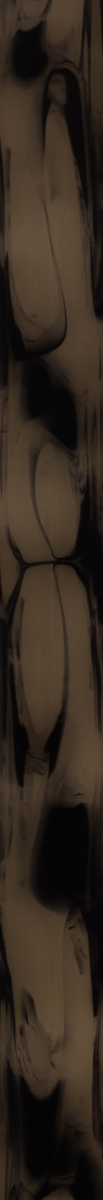 C11029