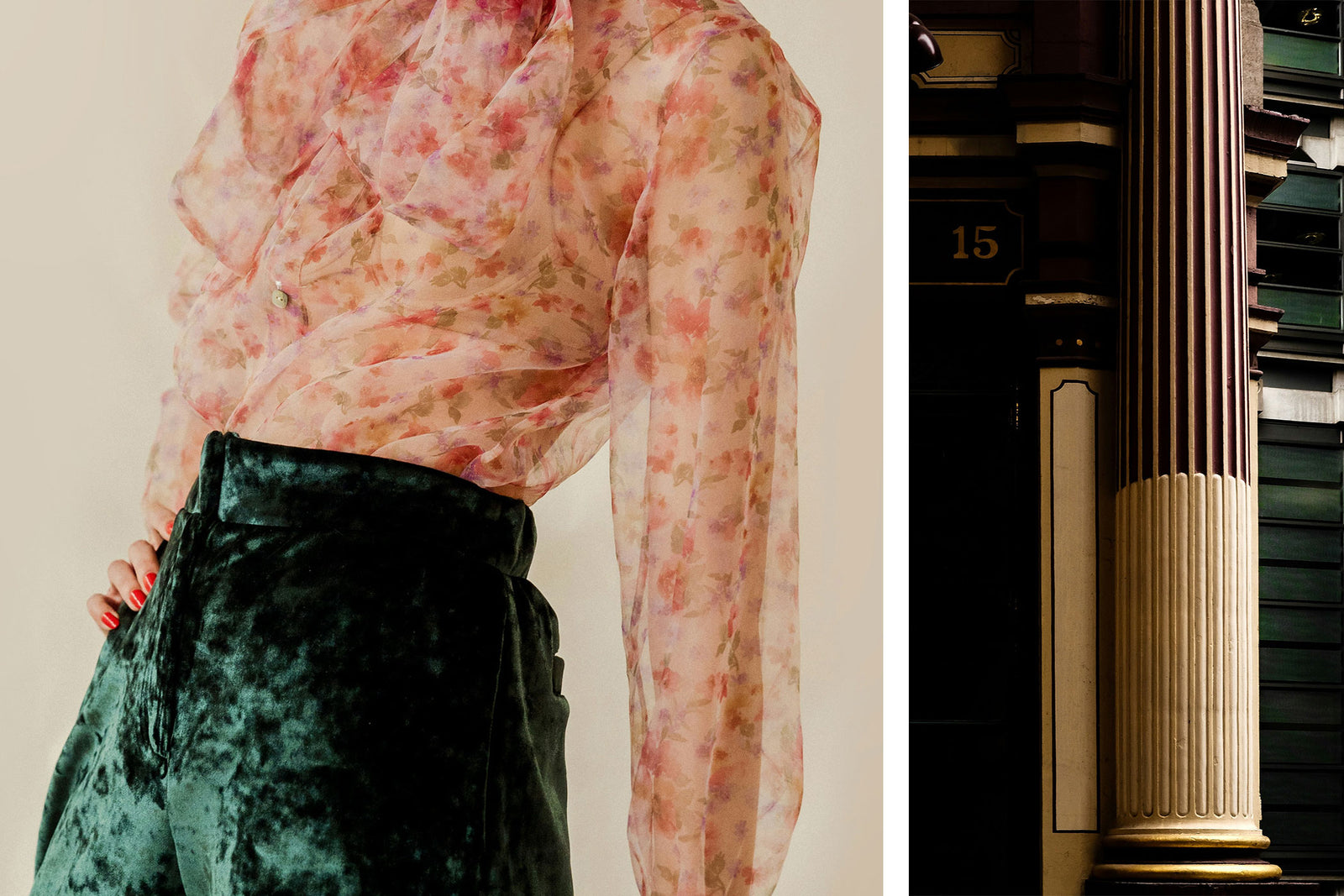 Forest Havana | Mazzucchelli 1849