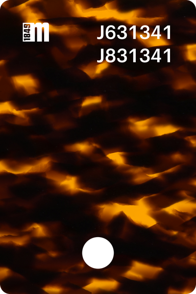 J631341 | Mazzucchelli 1849
