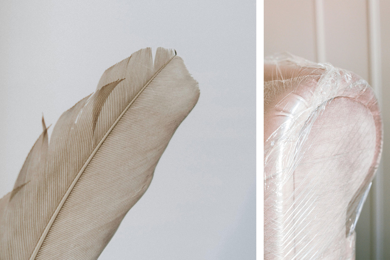 M49-Monocolors Mido 2026 - Light Transparent