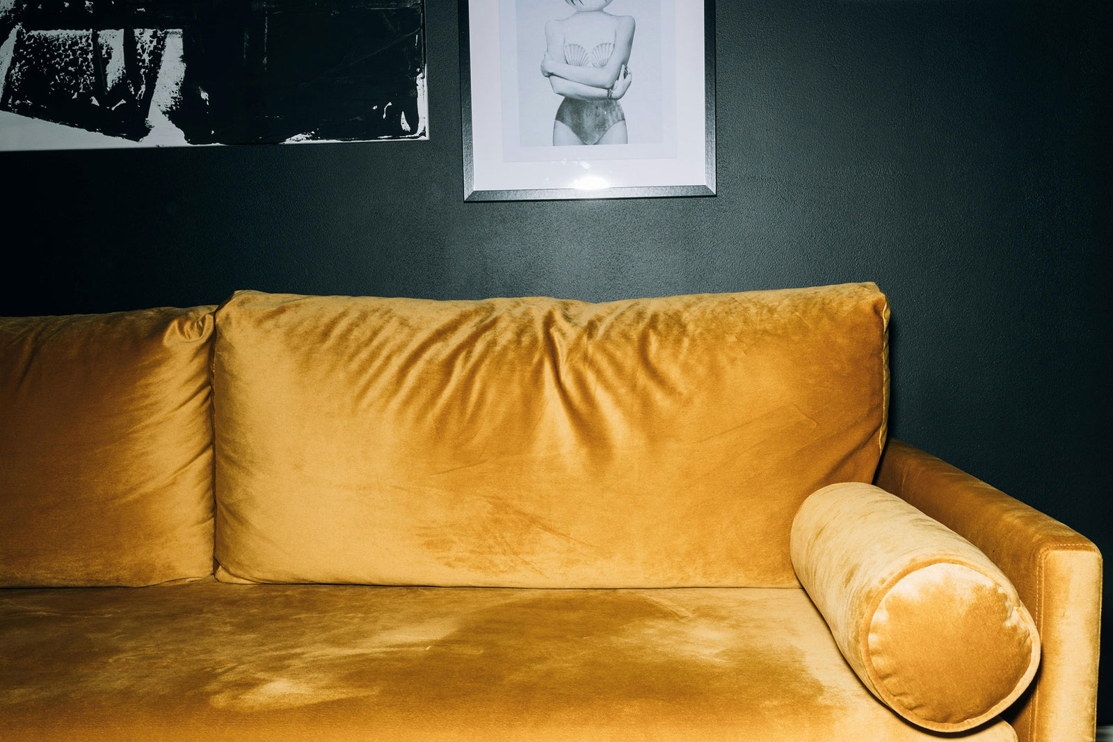 M49-Monocolors Mido 2026 - Medium Transparent