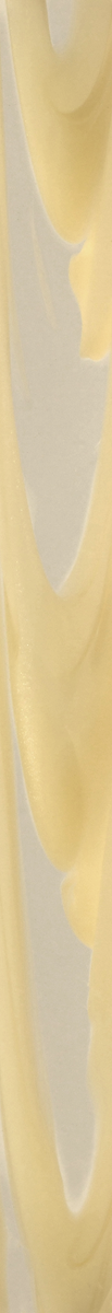 T25364P