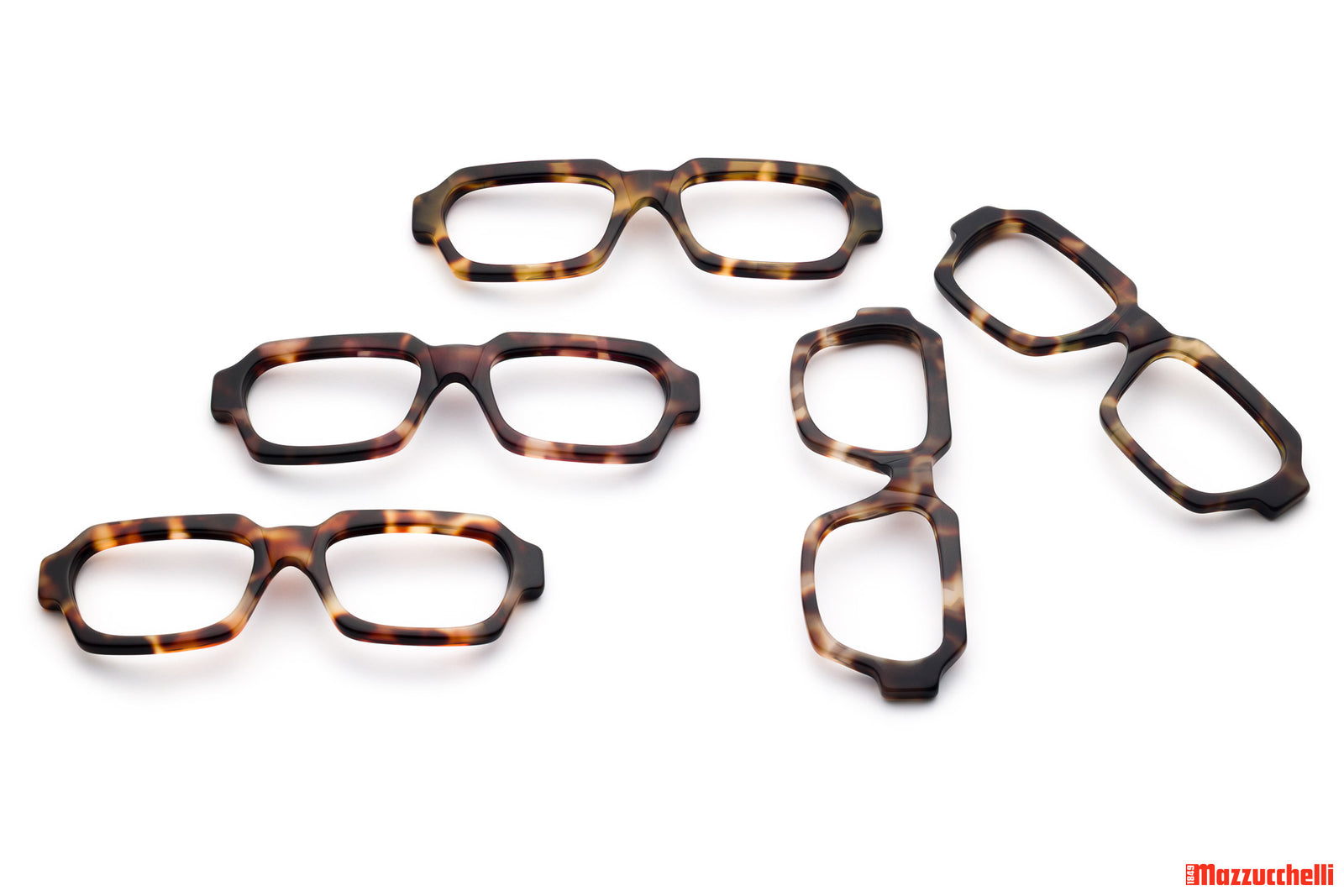 Tortuga | Mazzucchelli 1849