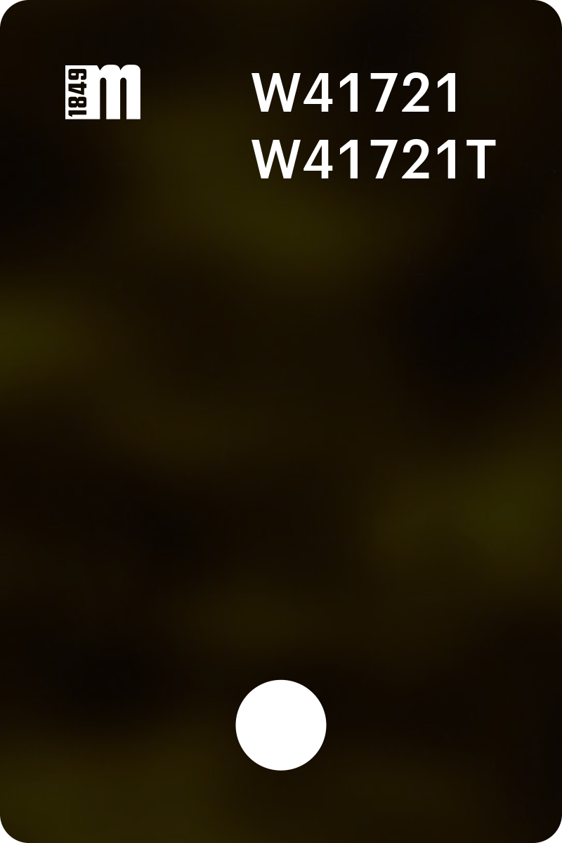 W41721 | Mazzucchelli 1849