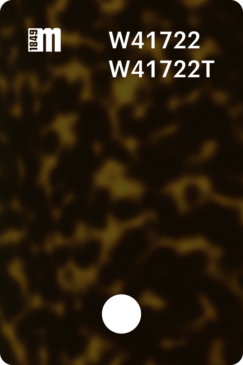 W41722 | Mazzucchelli 1849