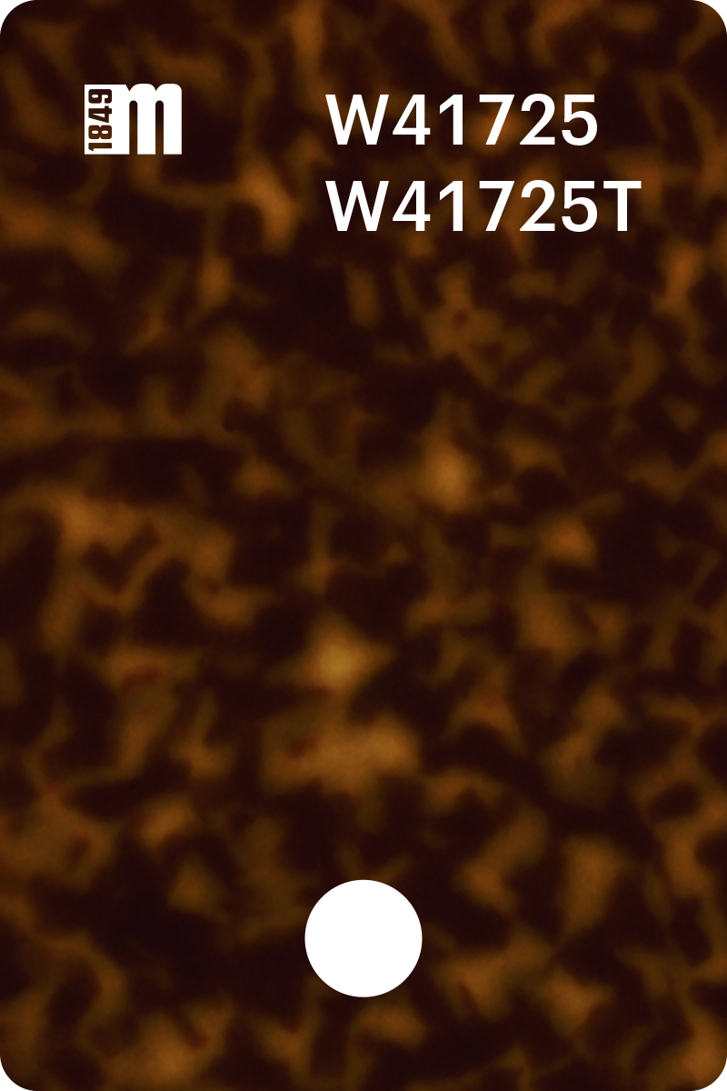 W41725 | Mazzucchelli 1849