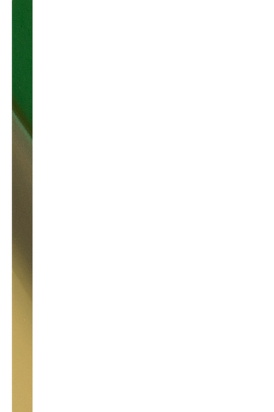 015477TDP