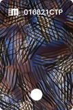016817CTP