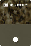 016882CTM