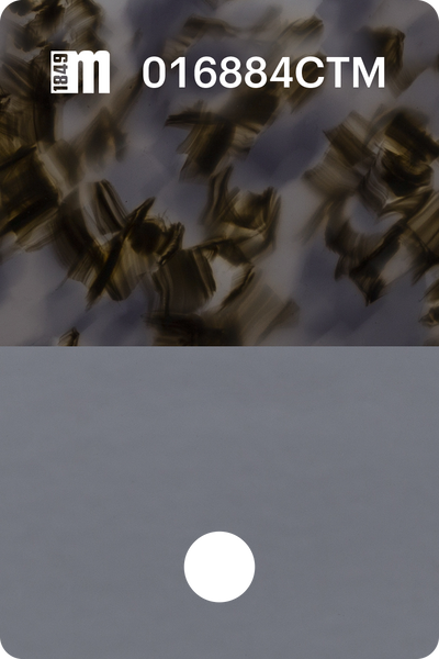 016884CTM