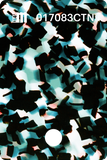 017080CTN