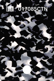 017080CTN