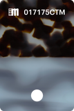 017231CTN