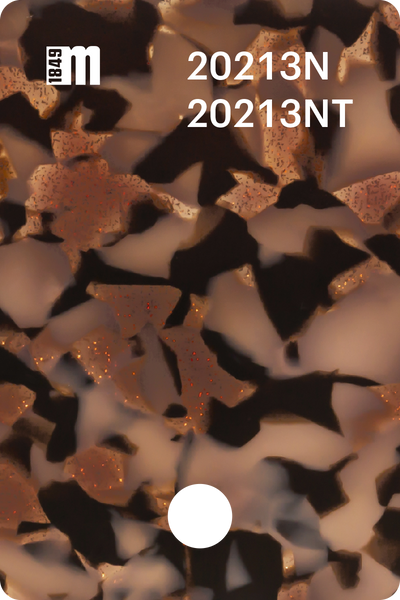 20213N