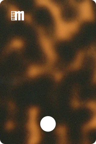 20215N