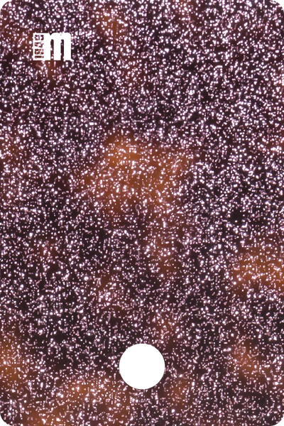 20215N