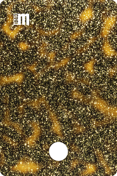 20216N