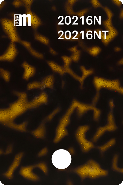 20216N