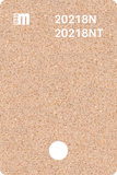 20213N