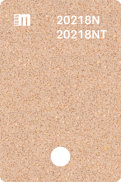 20218N