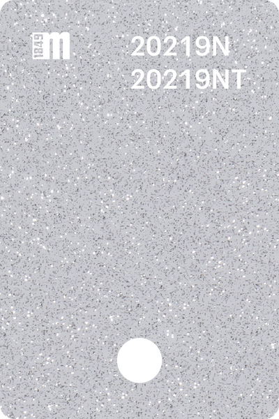 20219N
