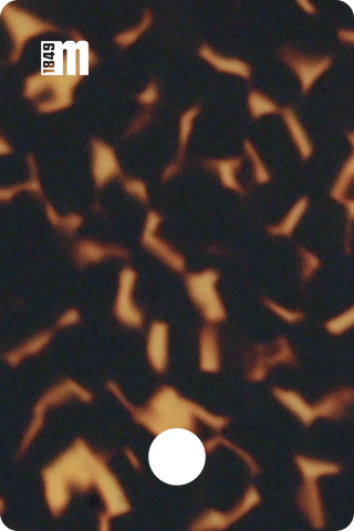 20282L