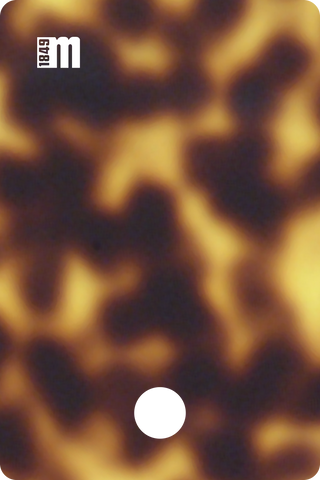 20284L