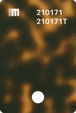 210172T