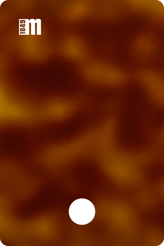 210172T