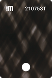 210755T