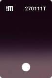 T74303