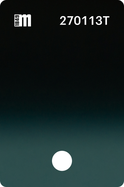 270113T